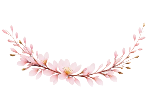 sakura wreath,flowers png,floral silhouette wreath,wreath vector,laurel wreath,sakura branch,pink floral background,blooming wreath,cherry blossom branch,floral wreath,flower wreath,floral digital background,sakura flower,spring crown,minimalist flowers,flower garland,floral silhouette frame,floral mockup,flower background,tuberose,Photography,Artistic Photography,Artistic Photography 11
