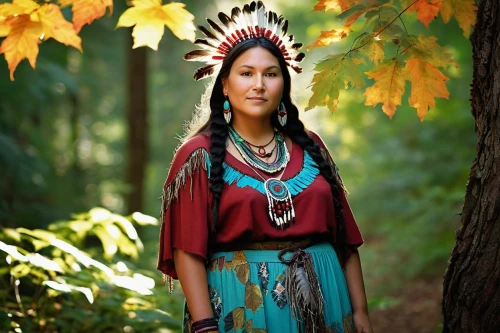 american indian,native american,the american indian,native,cherokee,indigenous culture,indian headdress,pocahontas,first nation,shamanism,warrior woman,feather headdress,shamanic,amerindien,tribal chief,indigenous,native american indian dog,headdress,red chief,red cloud,Photography,Black and white photography,Black and White Photography 02