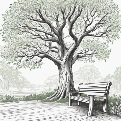 birch tree illustration,garden bench,park bench,wooden bench,bodhi tree,oak tree,bench,rosewood tree,elm tree,walnut trees,outdoor bench,benches,flourishing tree,ornamental tree,the branches of the tree,coloring page,vinegar tree,fig tree,californian white oak,tree thoughtless,Illustration,Black and White,Black and White 04