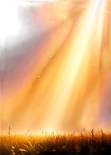 sunburst background,landscape background,sunrays,god rays,sun rays,dandelion background,sunray,sun ray,sunbeams,rays of the sun,mobile video game vector background,sun,bright sun,life stage icon,background vector,solar field,light rays,star-of-bethlehem,background image,autumn background,Illustration,Realistic Fantasy,Realistic Fantasy 01