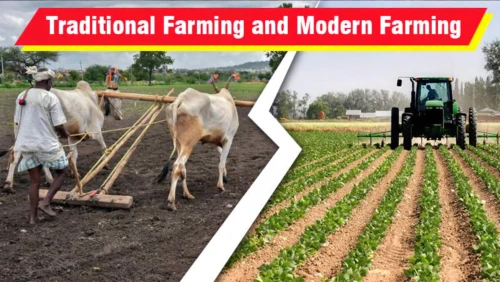 field cultivation,agricultural engineering,stock farming,agriculture,agricultural use,farming,aggriculture,agroculture,cereal cultivation,agricultural,farmers,agricultural machinery,organic farm,tona organic farm,farmer protest,farm workers,livestock farming,fodder plants,farm background,furrows