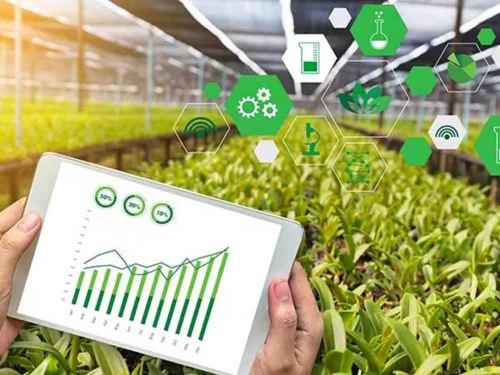 irrigation system,agriculture,plant protection drone,sustainable development,green energy,sustainability,ecological sustainable development,stock farming,agroculture,greenbox,dji agriculture,agricultural engineering,agricultural,investment products,green electricity,crop plant,growing green,blockchain management,aggriculture,field trial