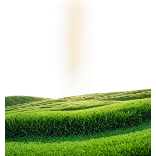 block of grass,background vector,green background,green border,wheat germ grass,wheat grass,landscape background,wheatgrass,artificial grass,green wheat,green wallpaper,halm of grass,green fields,green landscape,green grass,green grain,farm background,grass,ricefield,trembling grass,Illustration,Black and White,Black and White 13