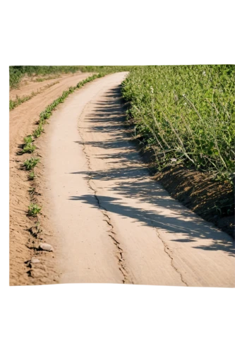 dirt road,road surface,singletrack,trail,online path travel,sand road,roads,bicycle path,tire track,country road,road,road bicycle racing,uneven road,hare trail,long-distance running,boundary line,footpath,furrow,paved,chalk traces,Photography,Fashion Photography,Fashion Photography 20