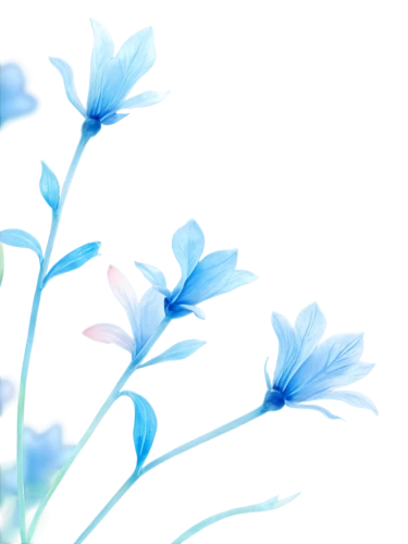 blue petals,blue daisies,blue flowers,flowers png,blue flower,blue butterfly background,forget-me-not,flower background,cornflower,forget me nots,minimalist flowers,forget-me-nots,myosotis,floral digital background,blue chrysanthemum,cornflowers,forget me not,gentians,windflower,wood daisy background,Conceptual Art,Fantasy,Fantasy 31