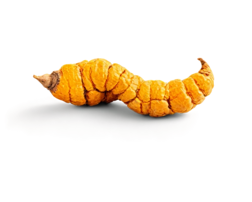 curcuma,silkworm,mealworm,turmeric,cutworms,african croissant,cucurbita,larva,croissant,caterpillar,pupa,wild sweet potato,new zealand yam,calabaza,waxworm,butternut,butternut squash,sweet potato,worm apple,yukon gold potato,Conceptual Art,Graffiti Art,Graffiti Art 01