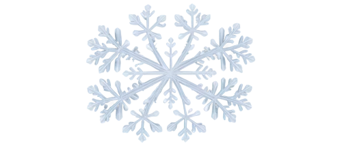snowflake background,christmas snowflake banner,blue snowflake,snow flake,white snowflake,wreath vector,snowflake,gold foil snowflake,summer snowflake,ice crystal,christmas pattern,christmas tree pattern,snowflakes,snowdrop,christmas snowy background,the snow queen,christmas motif,snowflake cookies,winter background,flannel flower,Photography,Black and white photography,Black and White Photography 12