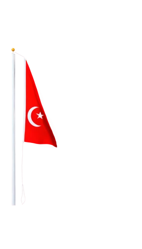 flag of turkey,turkish flag,turkey flag,izmir,national flag,hd flag,cümbüş,target flag,race flag,flag,red banner,race track flag,singapura,atatürk,malaysian flag,country flag,ankara,turunç,turkey,antalya,Conceptual Art,Daily,Daily 16