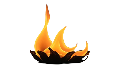 fire logo,fire background,fire ring,lotus png,fire flower,fire bowl,firespin,fire screen,burned mount,burning of waste,bushfire,fire in fireplace,fire wood,witch's hat icon,conflagration,burnout fire,dribbble icon,flat blogger icon,the conflagration,wood fire,Conceptual Art,Fantasy,Fantasy 34