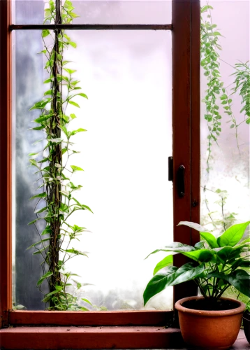 window curtain,bamboo curtain,hanging plants,hanging plant,transparent window,open window,window film,window transparent,windowsill,dark green plant,window with shutters,front window,indoor plant,window covering,intensely green hornbeam wallpaper,houseplant,window view,window treatment,winter window,window released,Illustration,Black and White,Black and White 16
