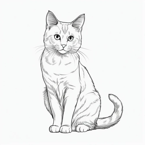 cat line art,british shorthair,drawing cat,cat vector,japanese bobtail,domestic short-haired cat,cat-ketch,cat drawings,european shorthair,cat portrait,felidae,pet portrait,line art animal,scottish fold,cartoon cat,kurilian bobtail,capricorn kitz,firestar,american shorthair,breed cat,Illustration,Black and White,Black and White 04