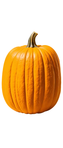 calabaza,cucurbita,hokkaido pumpkin,gem squash,winter squash,cucuzza squash,candy pumpkin,pumpkin,halloween pumpkin,pumkin,white pumpkin,cucurbit,scarlet gourd,halloween pumpkin gifts,gourd,pumpkin autumn,decorative pumpkins,pumkins,butternut squash,pumpkin soup,Conceptual Art,Oil color,Oil Color 21