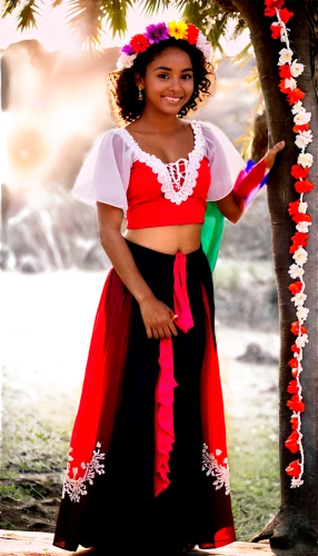 quinceañera,maracatu,folk costume,traditional costume,honduras lempira,cape verde island,farofa,peruvian women,mexican tradition,martisor,pachamanca,mexican culture,chiapas,curaçao,eritrea,ethiopian girl,dominican republic,social,pandero jarocho,bavaro,Illustration,Black and White,Black and White 33