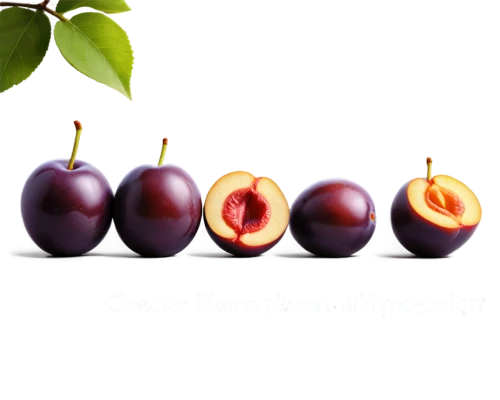 european plum,coffee fruits,purple chestnut,purple mangosteen,acerola family,davidson's plum,mangosteen,syzygium,gap fruits,plum,pome fruit family,colada morada,plums,jewish cherries,damson,dark olives,acai,edible fruit,chestnut fruits,grape hyancinths,Unique,Design,Character Design