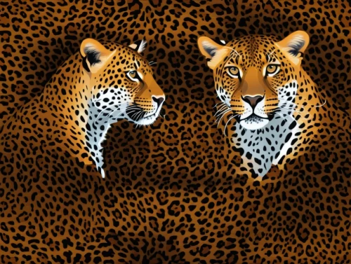 cheetahs,cheetah,leopard,serengeti,big cats,animal print,jaguar,spots,leopard head,fractalius,fauna,tigers,animal portrait,hosana,predators,animal faces,animal icons,animalia,felines,safaris,Photography,General,Realistic