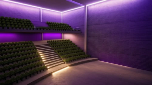 theater stage,lecture hall,movie theater,music venue,theatre stage,concert hall,concert venue,theatre,3d rendering,cinema 4d,theater,auditorium,cinema seat,lecture room,wine cellar,movie theatre,performance hall,3d render,home cinema,wall,Photography,General,Realistic