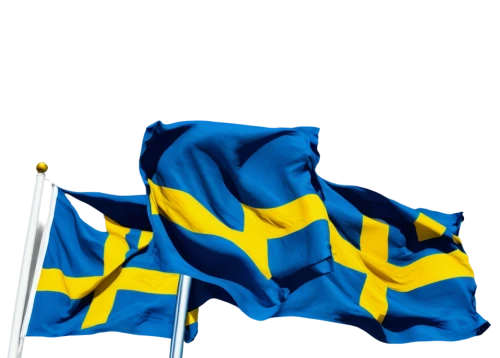 swedish,sweden sek,swede cakes,sweden,nordic,sweden bombs,hd flag,swedish crown,cleanup,karparten,scandinavian,eyup,scandinavia,swedish krona,sweden fire,finnish flag,flag,race flag,national flag,fårikål,Illustration,Retro,Retro 20
