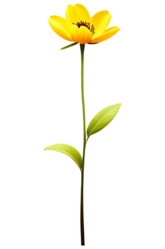 flowers png,lotus png,rudbeckia,minimalist flowers,trumpet flower,rudbeckia nidita,turkestan tulip,yellow canada lily,lilium candidum,helianthus occidentalis,yellow allamanda,single flower,allamanda,ikebana,small sun flower,helianthus,yellow flower,sego lily,lily flower,sand coreopsis,Conceptual Art,Oil color,Oil Color 07