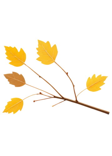 leaf background,autumn icon,fall leaf border,spring leaf background,autumn background,leaf branch,autumn leaf paper,maple leave,golden leaf,yellow leaf,autumnal leaves,autumn foliage,fall leaf,brown leaf,maple foliage,leaf icons,yellow leaves,fall foliage,leaves in the autumn,gold leaves,Illustration,Vector,Vector 20