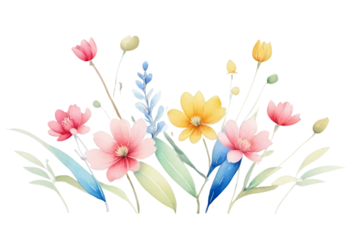 tulip background,flowers png,floral digital background,watercolor floral background,floral background,flower background,white floral background,flower illustrative,japanese floral background,pink floral background,spring leaf background,paper flower background,watercolor flowers,spring background,tulip flowers,flower illustration,flower painting,floral mockup,flower and bird illustration,floral greeting card,Photography,Fashion Photography,Fashion Photography 08