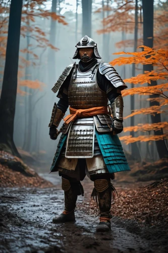 samurai,samurai fighter,knight armor,goki,lone warrior,centurion,armored,heavy armour,shinobi,hijiki,fantasy warrior,armored animal,warlord,sōjutsu,kenjutsu,paladin,patrol,armour,armor,wall