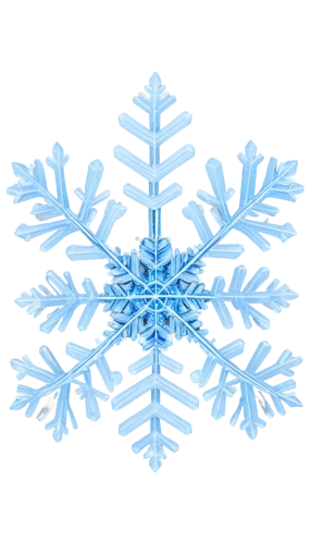 snowflake background,christmas snowflake banner,snow flake,blue snowflake,snowflake,white snowflake,weather icon,snowflakes,wreath vector,gold foil snowflake,christmas snowy background,ice crystal,winter background,fire flakes,snowflake cookies,flakes,red snowflake,snow drawing,ice,icemaker,Photography,Black and white photography,Black and White Photography 13