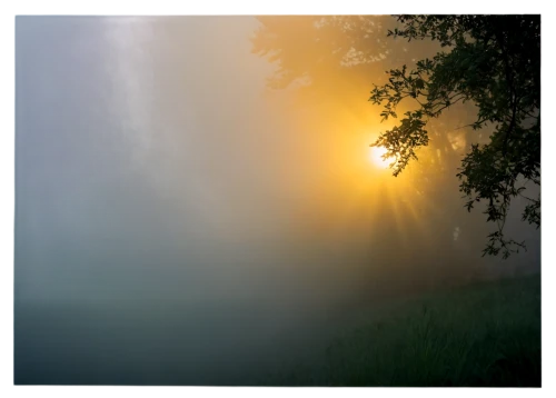 foggy landscape,veil fog,dense fog,morning mist,morning fog,mists over prismatic,fog banks,emission fog,high fog,mist,atmosphere sunrise sunrise,autumn fog,boomerang fog,cuckoo-light elke,ground fog,early fog,first light,atmospheric phenomenon,3-fold sun,north american fog,Photography,Black and white photography,Black and White Photography 07