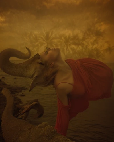 photo manipulation,conceptual photography,the zodiac sign pisces,capricorn,photomanipulation,wild sheep,fantasy picture,girl elephant,surrealism,aries,surrealistic,mythological,faun,horn of amaltheia,shamanic,mythical creature,photoshop manipulation,the zodiac sign taurus,fantasy art,horoscope taurus,Photography,Artistic Photography,Artistic Photography 14