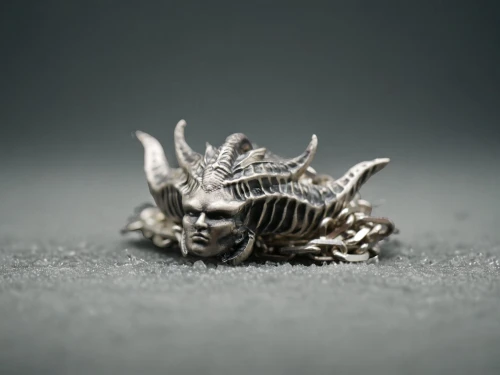 spiny sea shell,liberty spikes,spikes,osprey claw,crown render,hairfinned silverfish,spiky,pinecone,silverfish,crowns,spines,king crown,queen crown,crown of the place,crown of thorns,silver octopus,brooch,grave jewelry,macrophoto,jawbone
