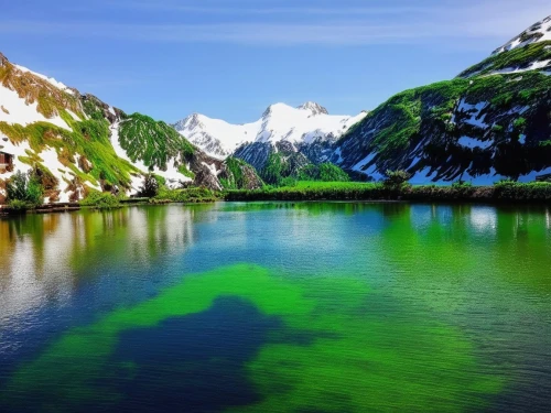 alpine lake,green water,heaven lake,glacial lake,acid lake,beautiful lake,altai,emerald sea,lake baikal,morskie oko,green algae,tatra mountains,green trees with water,volcanic lake,caucasus,alpsee,high mountain lake,green landscape,bernese alps,mountain lake,Conceptual Art,Graffiti Art,Graffiti Art 02