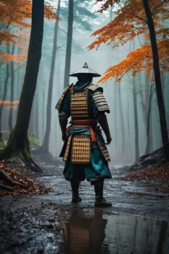 samurai,samurai fighter,goki,hijiki,lone warrior,kenjutsu,sensei,shinobi,tsukemono,kyoto,swordsman,samurai sword,the wanderer,yi sun sin,autumn background,digital compositing,sōjutsu,shuanghuan noble,autumn in japan,ninjutsu