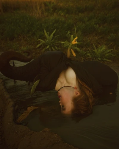 girl lying on the grass,woman laying down,conceptual photography,uprooted,woman at the well,bed in the cornfield,sunken,the girl is lying on the floor,falling on leaves,luisa grass,crocodile woman,trembling grass,siren,throwing leaves,rusalka,drowning,cloves schwindl inge,fallen flower,in the tall grass,fallen acorn,Photography,Artistic Photography,Artistic Photography 14