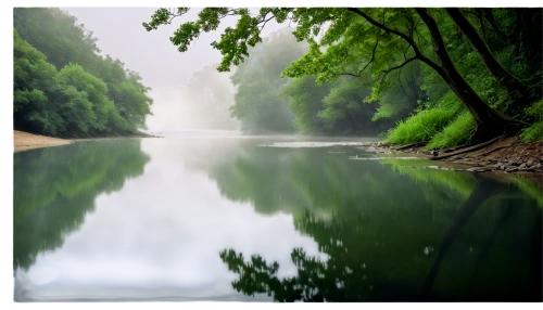 river landscape,landscape background,green trees with water,foggy landscape,background vector,water mist,background view nature,photo painting,nature landscape,world digital painting,natural landscape,green landscape,a river,waterscape,tranquility,freshwater,landscape photography,morning mist,landscape nature,forest landscape,Illustration,Realistic Fantasy,Realistic Fantasy 11