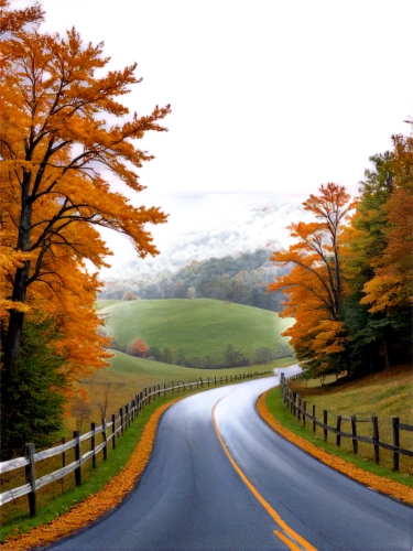 fall landscape,country road,winding roads,maple road,winding road,vermont,autumn landscape,autumn scenery,mountain road,beautiful landscape,tree lined lane,rolling hills,landscapes beautiful,west virginia,roads,foggy landscape,shenandoah valley,blue ridge mountains,forest road,alpine drive,Illustration,Black and White,Black and White 19