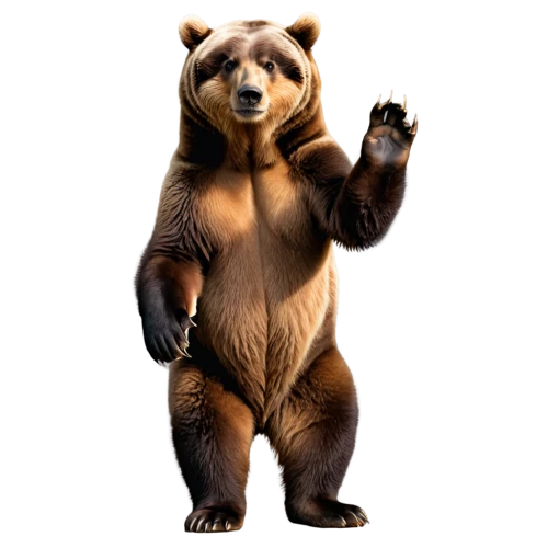 nordic bear,bear,scandia bear,cute bear,brown bear,left hand bear,bear kamchatka,great bear,kodiak bear,bear market,grizzly,bears,bear teddy,grizzly bear,slothbear,bear guardian,bear bow,sun bear,little bear,big bear,Conceptual Art,Daily,Daily 13
