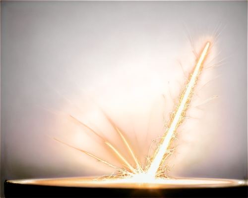 sunburst background,steelwool,cherry sparkler fountain grass,sparkler writing,dandelion background,sparkler,feather bristle grass,sparks,pyrotechnic,shower of sparks,spikelets,incense stick,sparklers,turn of the year sparkler,lighted candle,spray candle,spark of shower,dandelion flying,light spray,fireworks rockets,Illustration,Realistic Fantasy,Realistic Fantasy 02