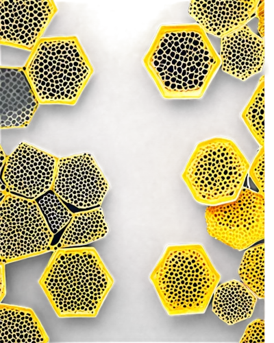 honeycomb structure,pollen warehousing,building honeycomb,honeycomb grid,sunflower paper,sunflower lace background,hexagons,trypophobia,pollen,flower wall en,hexagonal,honeycomb,bee eggs,bee colonies,flower of life,cell structure,yellow wallpaper,lemon pattern,recycled paper with cell,bee colony,Illustration,Japanese style,Japanese Style 17