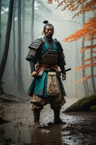 samurai,samurai fighter,goki,yi sun sin,shuanghuan noble,hijiki,tsukemono,kenjutsu,swordsman,kyoto,shakuhachi,sōjutsu,sensei,daitō-ryū aiki-jūjutsu,samurai sword,japanese martial arts,takuan,sanshin,panokseon,mulan