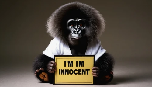 primate,innocent,innocence,insecurity,baboon,impunity,insecurities,indri,the blood breast baboons,indigent,primates,muhammad ali,cercopithecus neglectus,great apes,mohammed ali,mandrill,barbary monkey,indigenous,investigate,chimpanzee,Conceptual Art,Sci-Fi,Sci-Fi 21