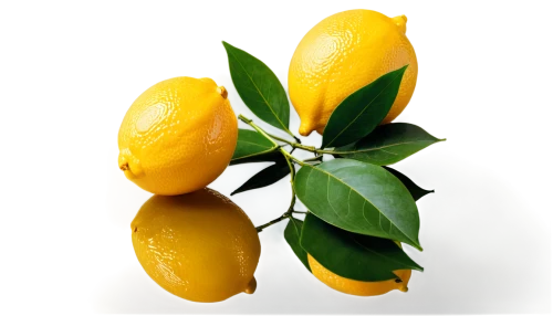 meyer lemon,lemon background,lemon tree,lemon peel,lemon wallpaper,limonana,valencia orange,lemon myrtle,lemons,poland lemon,citrus,lemon,kumquat,citron,limone,citrus fruit,lemon half,kumquats,slice of lemon,calamondin,Illustration,Realistic Fantasy,Realistic Fantasy 43