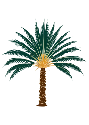 palm tree vector,palmtree,fan palm,palm tree,desert palm,date palm,wine palm,date palms,palm,easter palm,cartoon palm,palm in palm,palm pasture,palm tree silhouette,potted palm,cycad,sabal palmetto,royal palms,palm fronds,coconut palm tree,Illustration,Vector,Vector 01