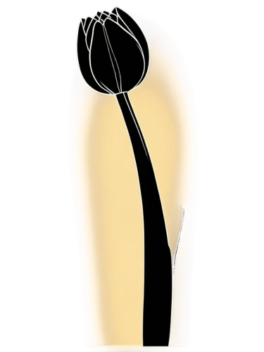 calla lily,turkestan tulip,vineyard tulip,calla lilies,tulip,flowers png,calla,lotus png,rose png,black candle,anthurium,lady tulip,drawing pin,black rose,tulip background,tulip blossom,giant white arum lily,flower illustrative,drawing-pin,the trumpet daffodil,Illustration,Vector,Vector 09