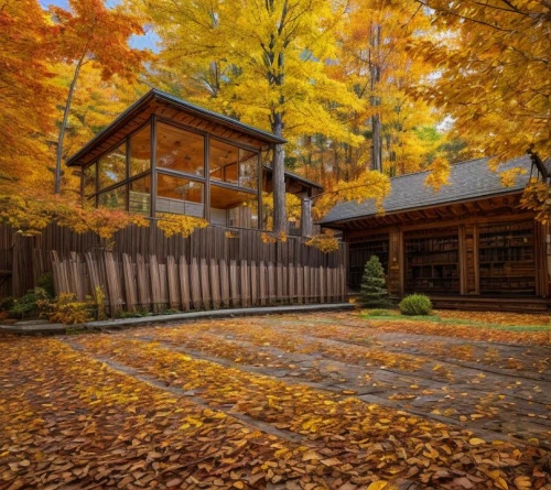 autumn decoration,autumn camper,fall landscape,autumn landscape,home landscape,cottage,autumn decor,autumn scenery,house in the forest,autumn background,autumn idyll,summer cottage,golden autumn,seasonal autumn decoration,country cottage,wooden house,the cabin in the mountains,log cabin,the autumn,in the autumn,Common,Common,Photography