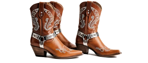 cowboy boot,women's boots,cowboy boots,cowgirls,texan,steel-toed boots,riding boot,durango boot,country style,cowboy bone,country-western dance,texas,rodeo,boots,stack-heel shoe,boots turned backwards,ordered,cowboy beans,trample boot,cowboys,Illustration,Retro,Retro 13