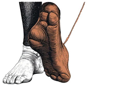 foot reflex zones,reflex foot sigmoid,human leg,foot reflex,the foot,reflex foot esophagus,reflex foot kidney,footmarks,foreshortening,foot model,foot,prosthetic,grip,prosthetics,leg,wolverine,left foot,foots,biomechanically,legg,Illustration,Black and White,Black and White 28