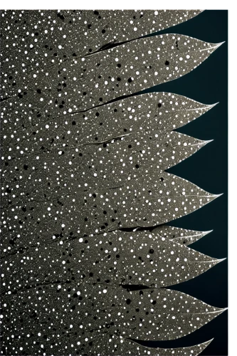 pine cone pattern,spikes,spines,spiky,fir needles,christmas tree pattern,porcupine,palm tree vector,dandruff,liberty spikes,sawfish,mumuration,motifs of blue stars,spruce needles,perseids,peacock feathers,titan arum,feather bristle grass,falling stars,quills,Illustration,Vector,Vector 13