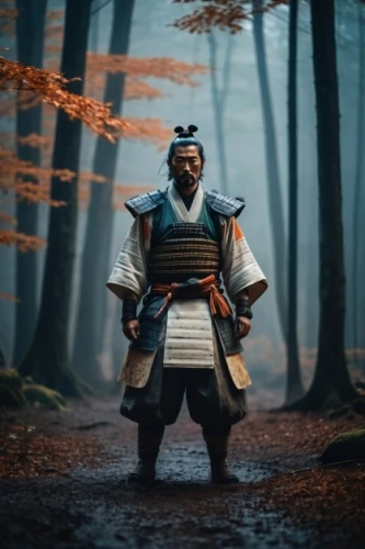 samurai,samurai fighter,sōjutsu,goki,kenjutsu,hijiki,daitō-ryū aiki-jūjutsu,sensei,kajukenbo,shinobi,tsukemono,kyoto,iaijutsu,shuanghuan noble,ninjutsu,japanese martial arts,battōjutsu,monk,jujutsu,martial arts uniform