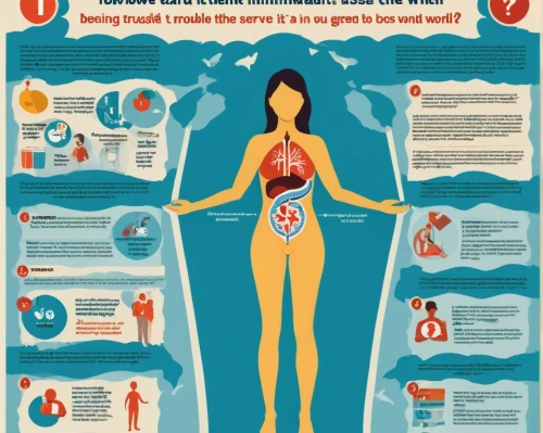 medical concept poster,the human body,women's health,human body anatomy,human body,circulatory system,heart health,infographics,human health,infographic,health is wealth,vector infographic,human internal organ,body-mind,fat loss,info graphic,inforgraphic steps,inflammation,human digestive system,blood circulation,Unique,Design,Infographics