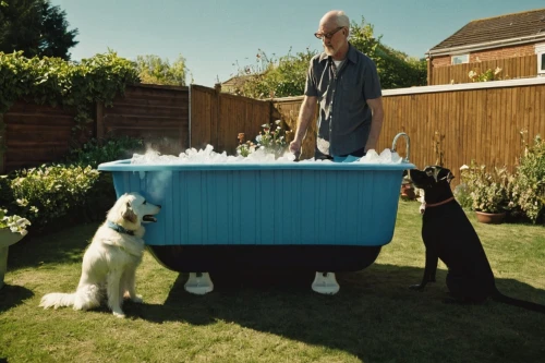 dug-out pool,rubbish collector,bin,waste bins,dog house,water tray,waste collector,dog supply,fetching water,water trough,rain barrel,recycling bin,dog training,standard poodle,teaching children to recycle,top dog,dry laundry,plant pots,housework,water sampling point,Photography,Documentary Photography,Documentary Photography 06