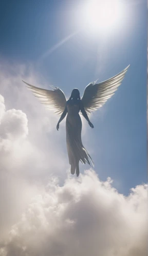 guardian angel,angelology,angel wing,angels,angel wings,archangel,angel,dove of peace,the archangel,the angel with the cross,stone angel,angel statue,dog angel,ascension,photo manipulation,holy spirit,image manipulation,heaven and hell,angel moroni,uriel,Conceptual Art,Fantasy,Fantasy 05